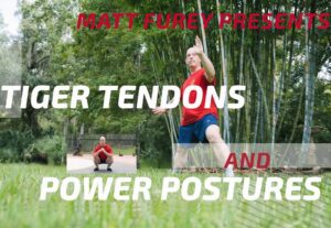 Power Postures – Tiger Tendons